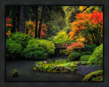 Load image into Gallery viewer, Garden Bridge
