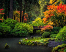 Load image into Gallery viewer, Garden Bridge
