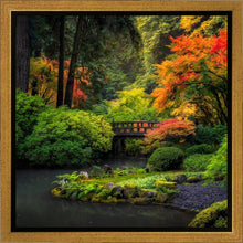 Load image into Gallery viewer, Garden Bridge
