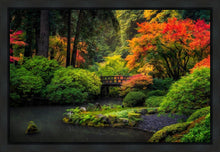 Load image into Gallery viewer, Garden Bridge
