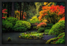 Load image into Gallery viewer, Garden Bridge
