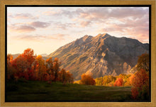 Load image into Gallery viewer, Timpanogos Autumn
