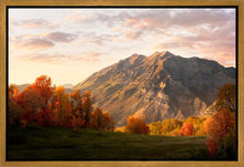 Load image into Gallery viewer, Timpanogos Autumn

