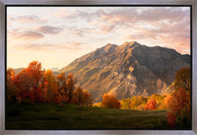 Load image into Gallery viewer, Timpanogos Autumn
