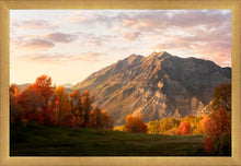 Load image into Gallery viewer, Timpanogos Autumn
