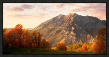 Load image into Gallery viewer, Timpanogos Autumn
