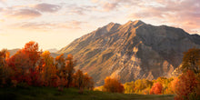 Load image into Gallery viewer, Timpanogos Autumn
