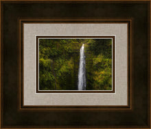 Load image into Gallery viewer, Akaka Falls, Hawaii

