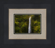 Load image into Gallery viewer, Akaka Falls, Hawaii

