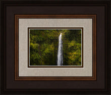 Load image into Gallery viewer, Akaka Falls, Hawaii
