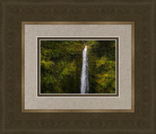 Load image into Gallery viewer, Akaka Falls, Hawaii
