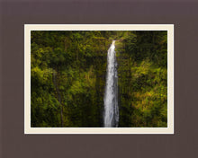 Load image into Gallery viewer, Akaka Falls, Hawaii
