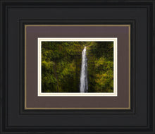 Load image into Gallery viewer, Akaka Falls, Hawaii
