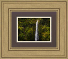 Load image into Gallery viewer, Akaka Falls, Hawaii
