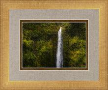 Load image into Gallery viewer, Akaka Falls, Hawaii
