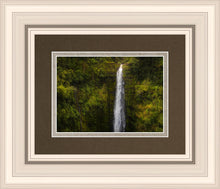 Load image into Gallery viewer, Akaka Falls, Hawaii
