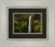 Load image into Gallery viewer, Akaka Falls, Hawaii
