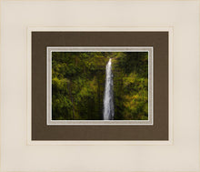Load image into Gallery viewer, Akaka Falls, Hawaii

