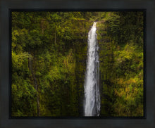 Load image into Gallery viewer, Akaka Falls, Hawaii
