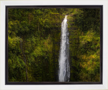 Load image into Gallery viewer, Akaka Falls, Hawaii
