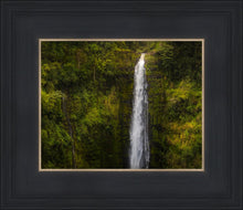 Load image into Gallery viewer, Akaka Falls, Hawaii

