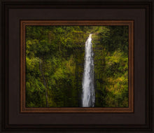 Load image into Gallery viewer, Akaka Falls, Hawaii
