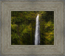 Load image into Gallery viewer, Akaka Falls, Hawaii
