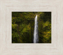 Load image into Gallery viewer, Akaka Falls, Hawaii
