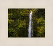 Load image into Gallery viewer, Akaka Falls, Hawaii
