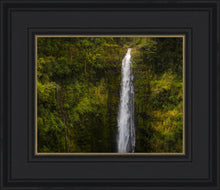 Load image into Gallery viewer, Akaka Falls, Hawaii
