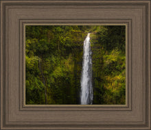 Load image into Gallery viewer, Akaka Falls, Hawaii
