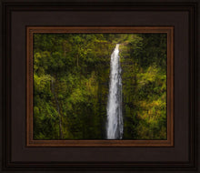 Load image into Gallery viewer, Akaka Falls, Hawaii
