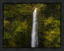 Load image into Gallery viewer, Akaka Falls, Hawaii
