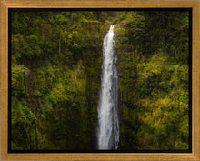 Load image into Gallery viewer, Akaka Falls, Hawaii
