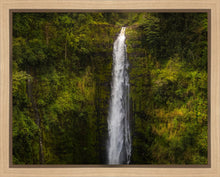 Load image into Gallery viewer, Akaka Falls, Hawaii
