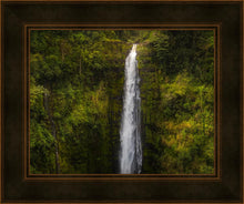 Load image into Gallery viewer, Akaka Falls, Hawaii

