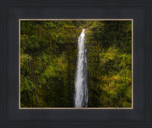 Load image into Gallery viewer, Akaka Falls, Hawaii
