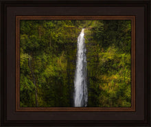 Load image into Gallery viewer, Akaka Falls, Hawaii
