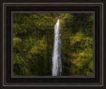 Load image into Gallery viewer, Akaka Falls, Hawaii
