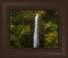 Load image into Gallery viewer, Akaka Falls, Hawaii
