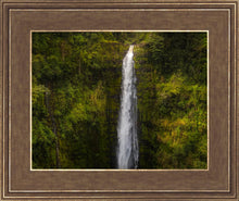 Load image into Gallery viewer, Akaka Falls, Hawaii
