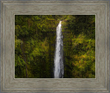 Load image into Gallery viewer, Akaka Falls, Hawaii
