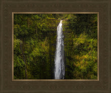 Load image into Gallery viewer, Akaka Falls, Hawaii

