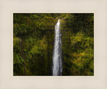 Load image into Gallery viewer, Akaka Falls, Hawaii
