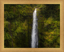 Load image into Gallery viewer, Akaka Falls, Hawaii
