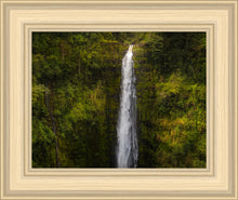Load image into Gallery viewer, Akaka Falls, Hawaii
