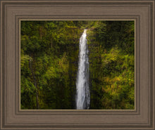 Load image into Gallery viewer, Akaka Falls, Hawaii

