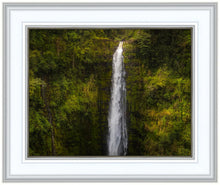 Load image into Gallery viewer, Akaka Falls, Hawaii
