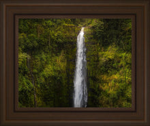 Load image into Gallery viewer, Akaka Falls, Hawaii
