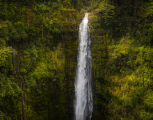 Load image into Gallery viewer, Akaka Falls, Hawaii

